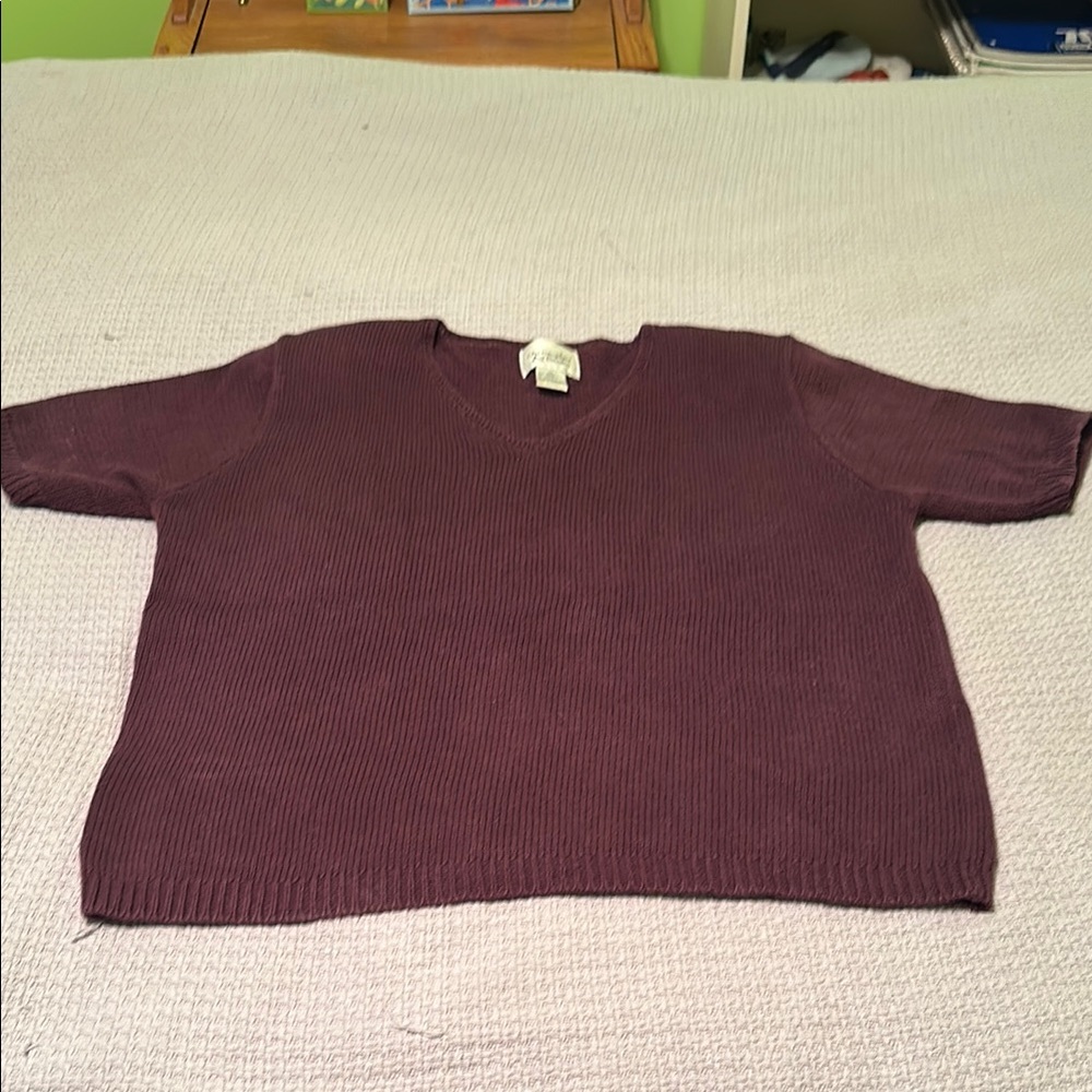 Christopher & Banks Purple V-Neck Sweater
